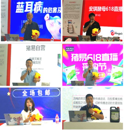 开场黄金3分钟：迅速拉满人气与氛围