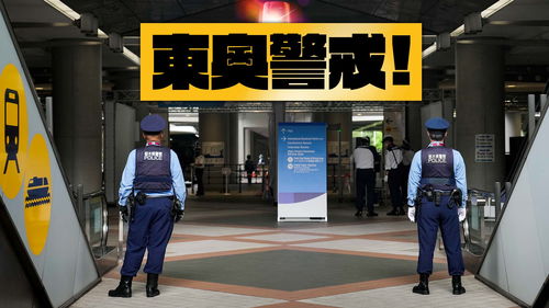 初期评价：塑造信誉的起点