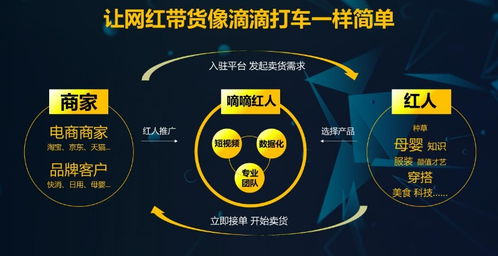 1. 数据核实与交叉验证