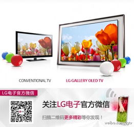 四、 健康节：关注健康，从点滴Zuo起