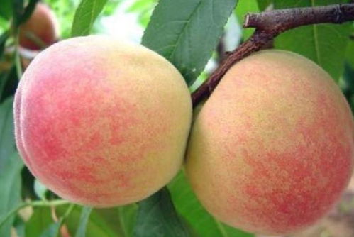 智嫩物流新生态构建