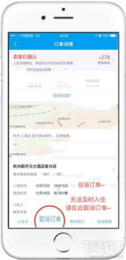 一、 飞猪订单评价的重要性