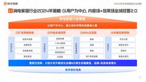 快手电商的蓬勃发展
