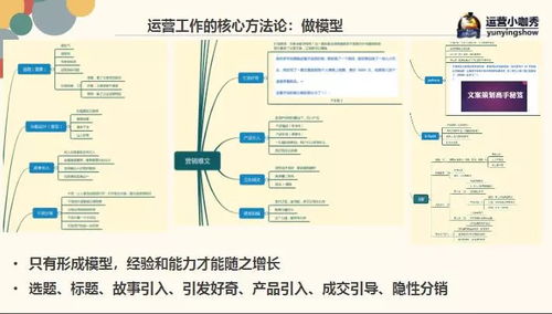 三、 多元化的内容生态系统