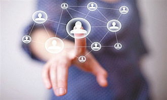 二、 研究竞争对手，洞察市场环境