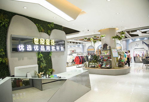 产品定位与市场前景