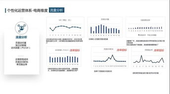 一、什么是大额补单？
