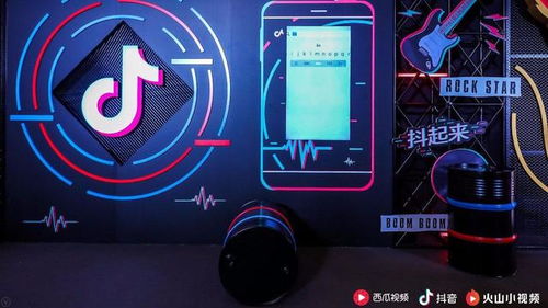 4. 数据分析与成长指引