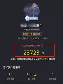 一、 深入理解抖音蓝海商机