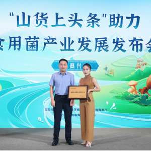 五大举措助力食用菌产业带提质增效