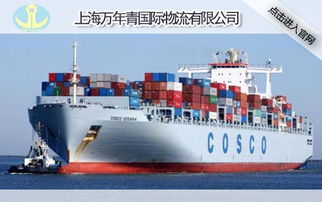 可持续性与长期成本的重构逻辑