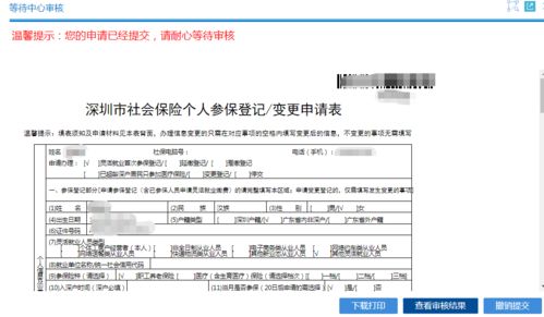 4. 等待审核及赔付