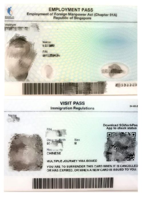 审查力度加大与合规要求