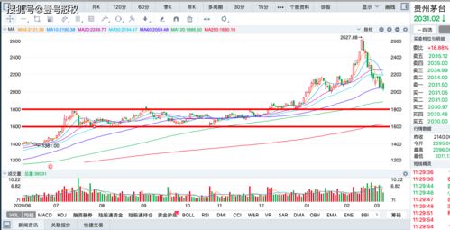 事故影响：股价下跌， 市值蒸发，竞争对手趁机崛起