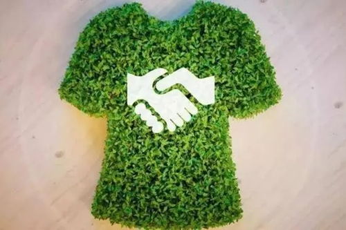 一、 绿色消费的兴起与年轻化趋势