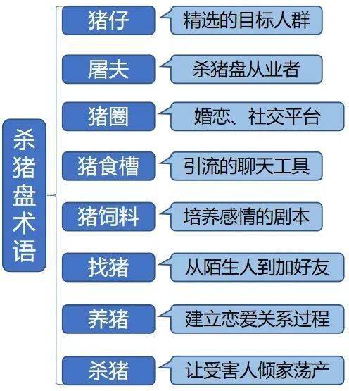 第六章：零担运输风险分析方法解析