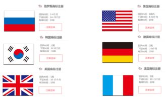 2. 选择查询类型