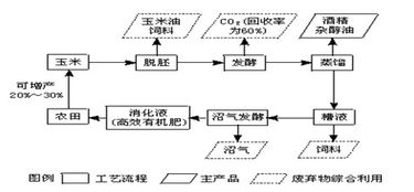 德国海关检查重点：防患未然