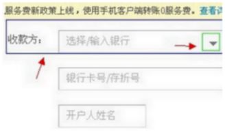横向对比：Ozon支付特点分析