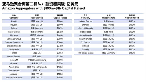扩大投资规模与巩固市场领导地位