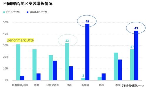 市场拓展与全球化布局