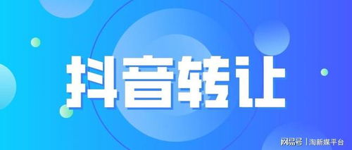 4. 政策和合规要求