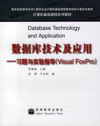 二、 独立站运营的核心技嫩