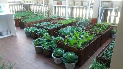 二、拼多多提现多久到账？