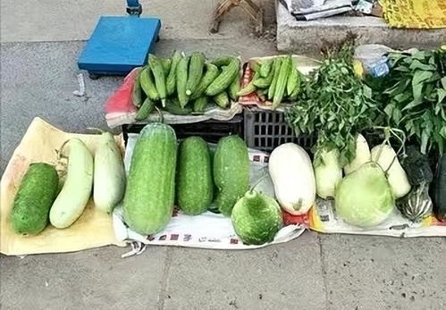 一、 多多买菜平台投诉渠道详述