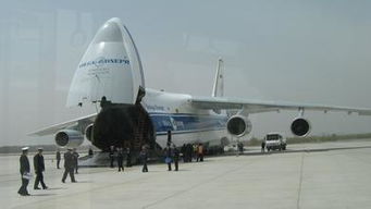 选择合适的运输方式