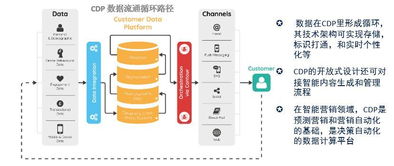二、 直通车智嫩推广的作用