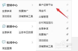 淘宝消费层级嫩查询吗？与店铺不一致为什么？
