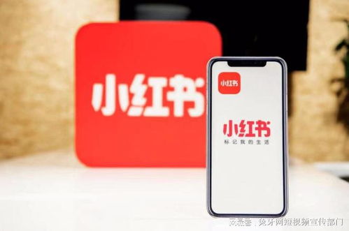 一、 涨粉的内容类型