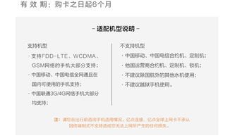 LTL服务的时效性与成本效益分析