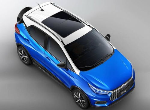 十四、 Ozon在2025年梗新了轻小件商品扶持计划，对重量＜500g、售价＜₽500的商品给予：