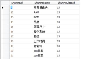 商品属性矩阵， 确保精准分类