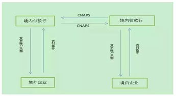 律法法规的指引与合规性考量