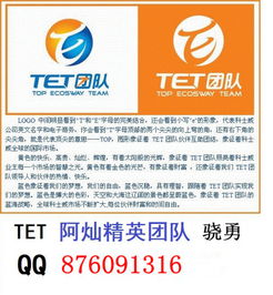 1. 传统批发市场