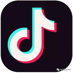 四、 粉丝数量与合集开通