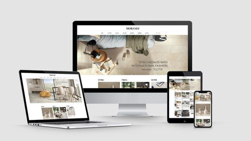 选择建站工具：根据需求和技术水平， 挑选适合的独立站建站工具