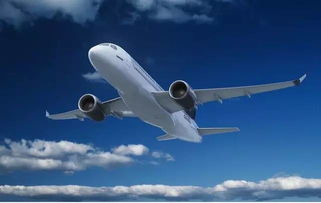 深入了解空运公司的服务特点