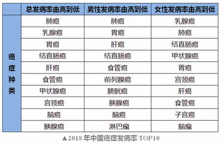 四、 零担货物运输成本计算与税务处理