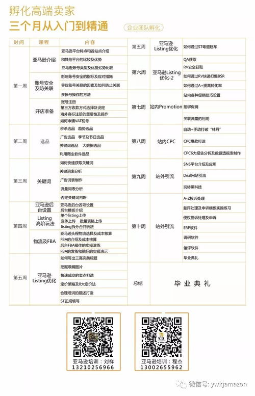 一、 亚马逊新品榜单概述