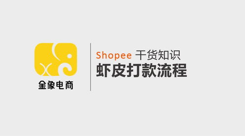 1. 虾币充值后的显示