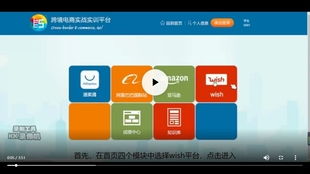 1. 国际跨境电商平台监管盲区与律法主体不明