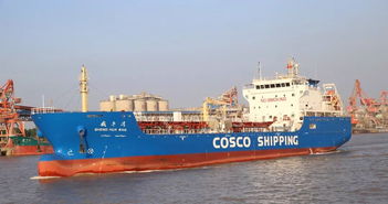 新航线的优势：高效便捷的滚装运输