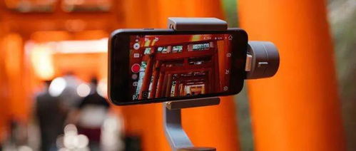 五、 发布和分享：扩大视频影响力