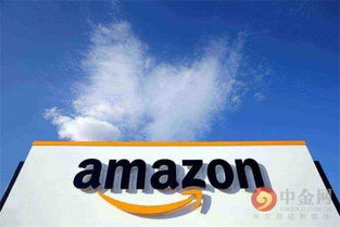 一、 亚马逊海淘黑五活动概述