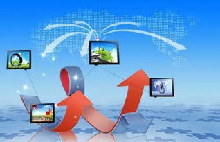 一、 俄罗斯冬季的“取暖神器”与养宠热潮