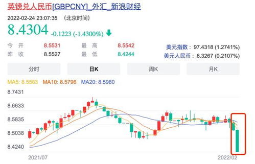 俄罗斯电商市场的蓬勃发展